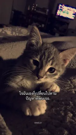 สิ่งที่พบเจอ