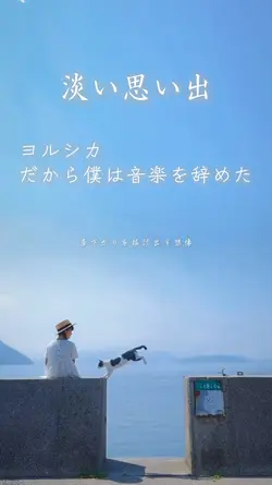 淡い思い出🎐