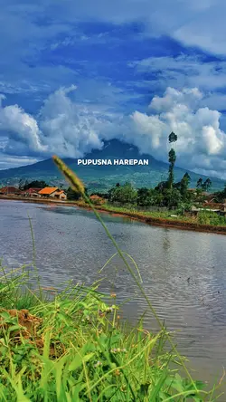 pupusna harepan