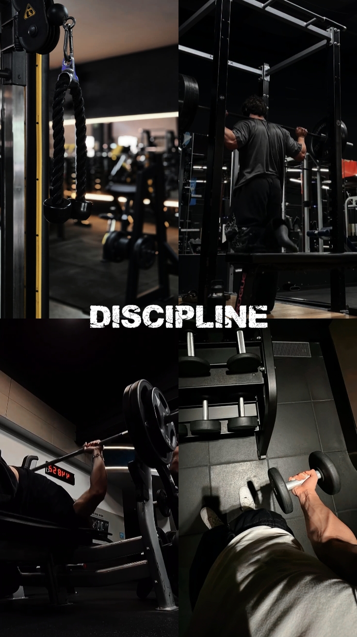 Disciplina