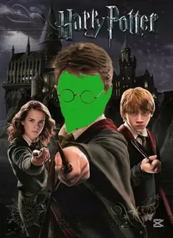 Harry Potter Temp🪄