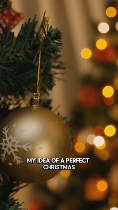 Navidad perfecta 