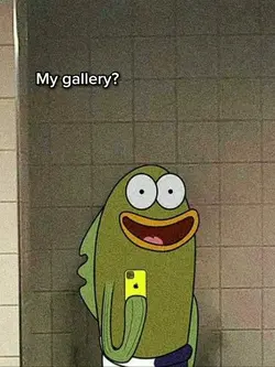 my gallery?