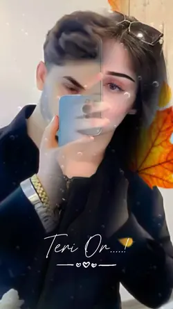 Teri or teri or