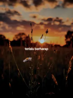 terlalu berharap
