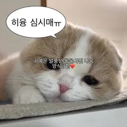 귀여운 동물 말풍선 사진 나눔
