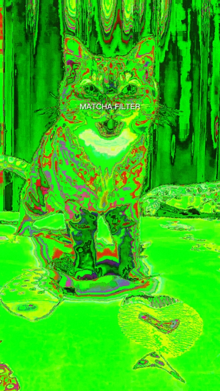 MATCHA TREND NEW