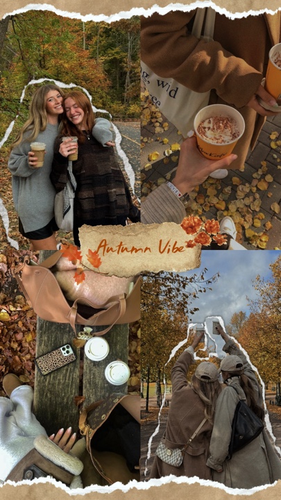 Ambiance d'automne 🍁🍂 🍄🟫🤎