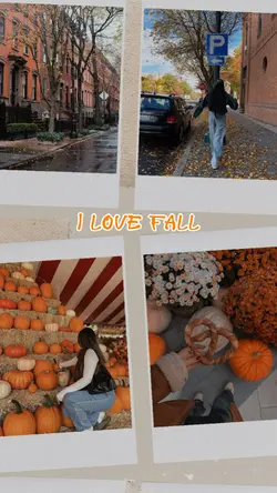 i love fall 