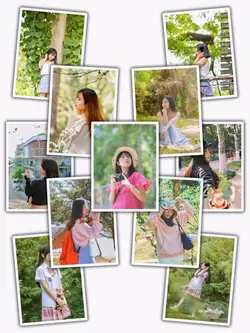 11 Photos Transition