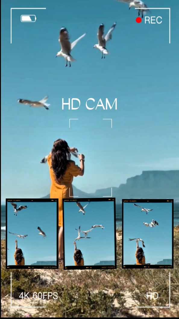 CÁMARA HD