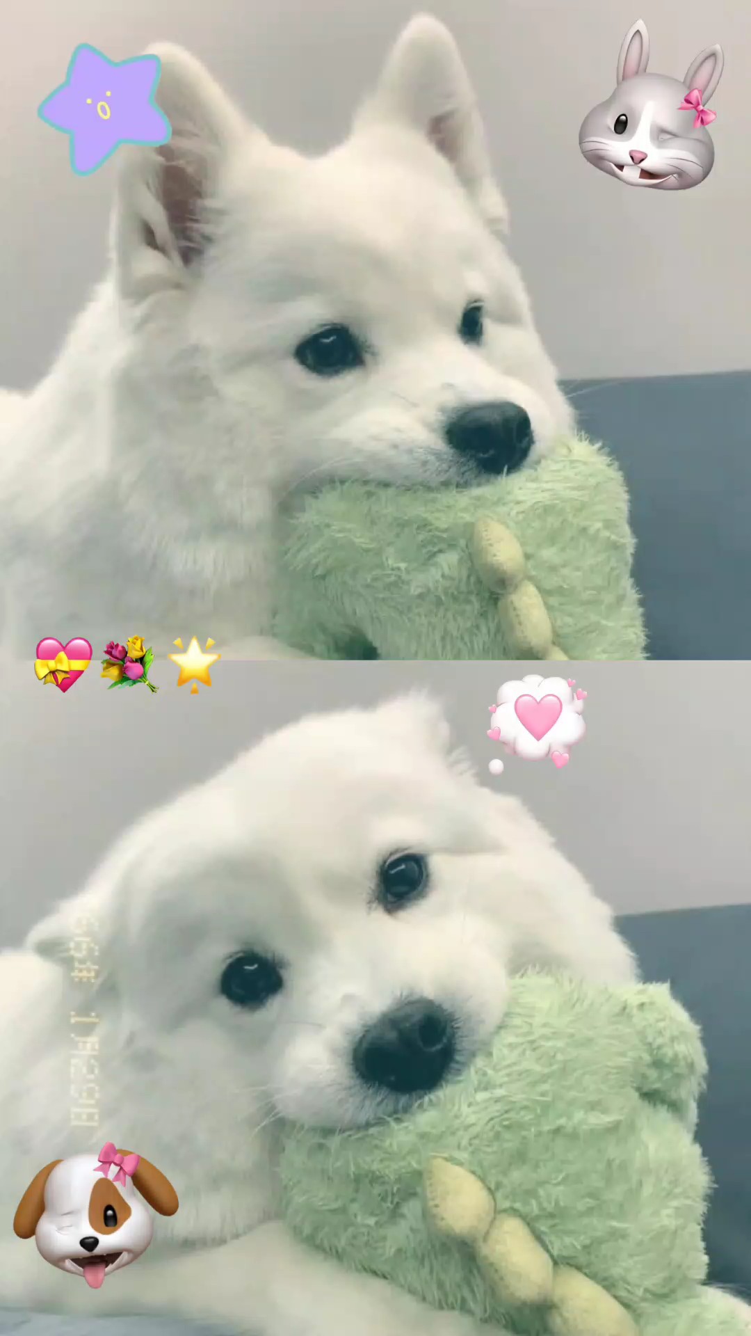 2รูปน่ารักๆ
