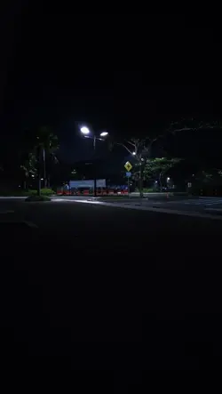 Suci dalam debu