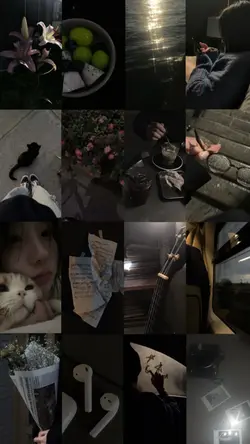 16 รูป