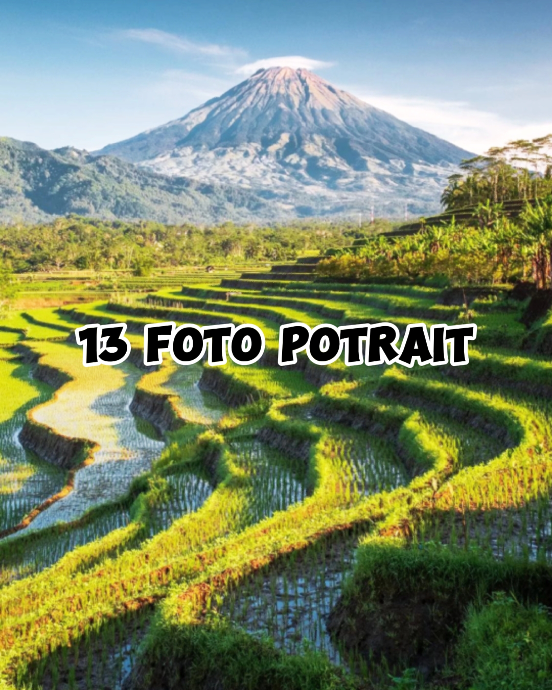 13 foto potrait