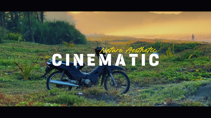 Esthétique cinématographique