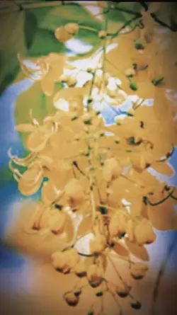 သကြန်မိုး