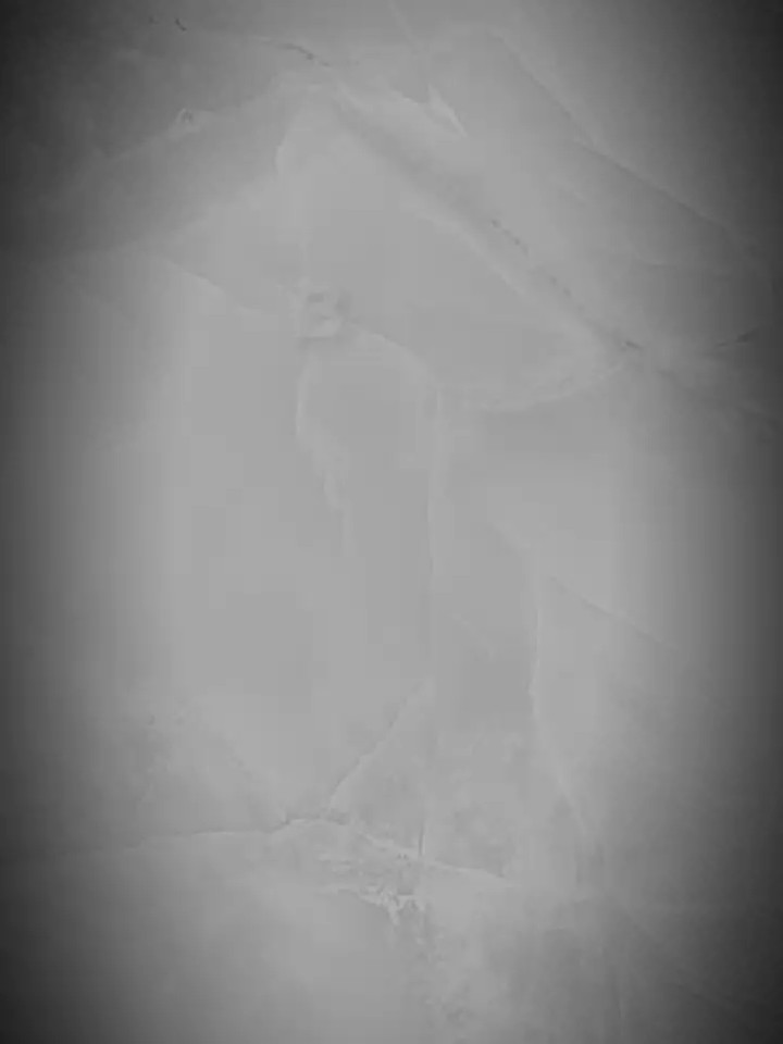 tiktok viral 