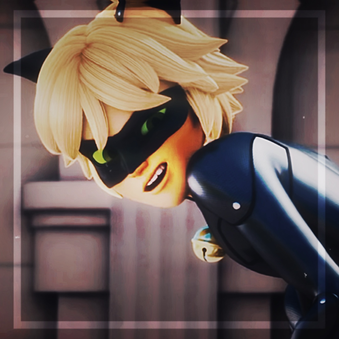 Cat noir edit