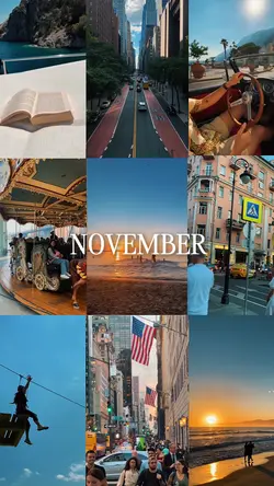 NOVEMBER DUMP 2025
