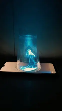 HOLOGRAM 3D