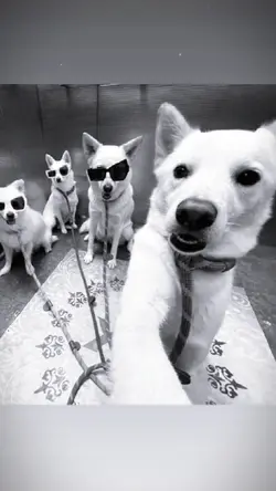 TÀI LỘC QUÁ LỚN 