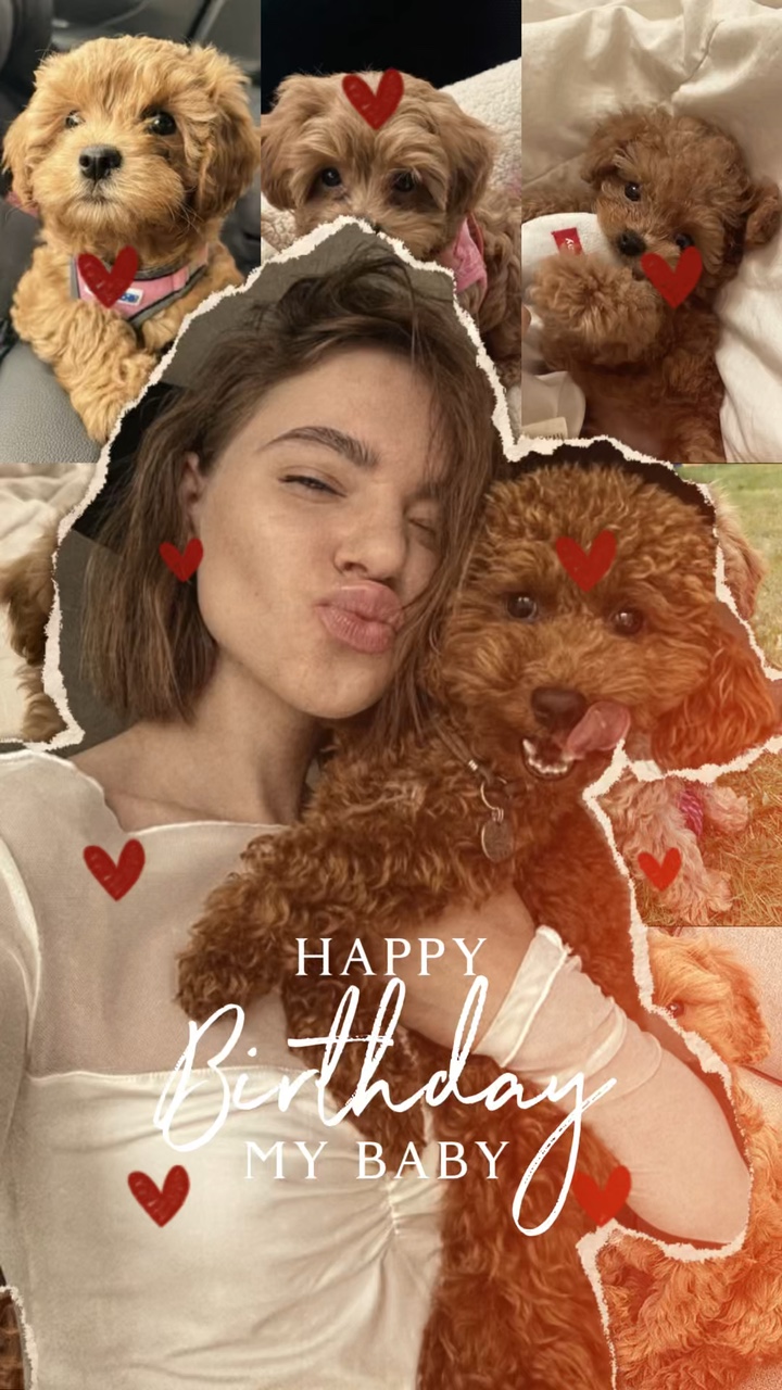 Mascota de cumpleaños🎂🌷