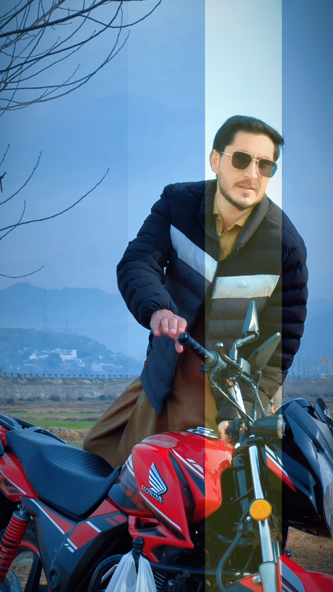 Cover Picture