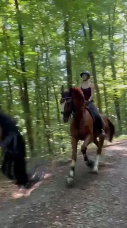 ORLANDOOOOO 😮‍💨💨