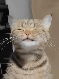 trend tiktok