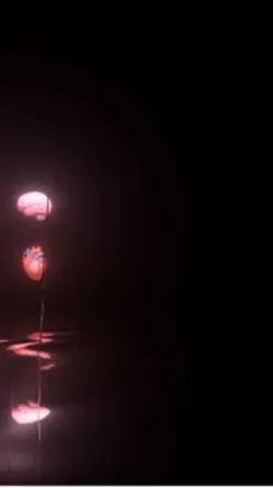 B+Y❤️