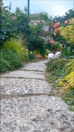 みなとの見える丘公園
