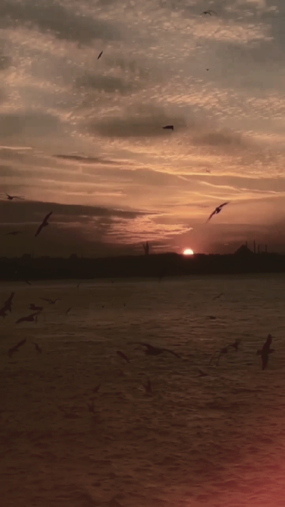 Cinematic Slowsmoth