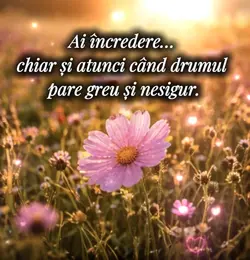 Ai incredere