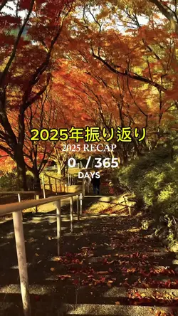 2025年振り返り
