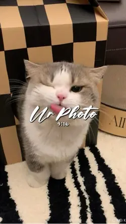 ចិត្តជាទាហ៊ាន 🫩
