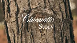 CINEMATIC STORY
