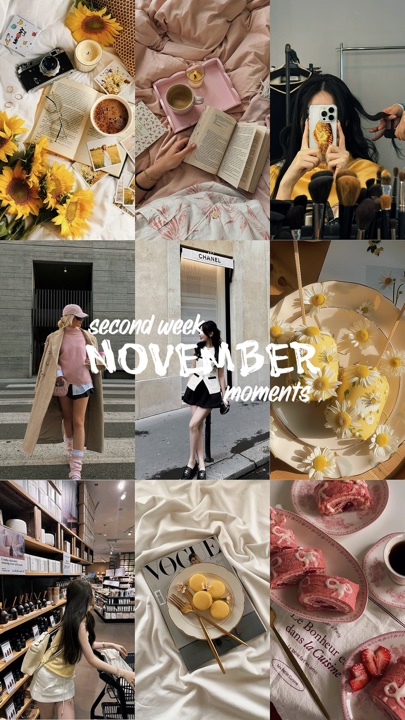 deuxième semaine de novembre