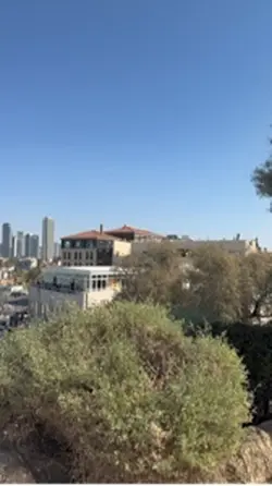 City by the sea