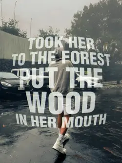 Put The Wood