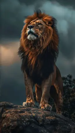 اهنگ ایرانی