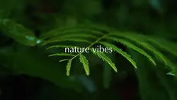 nature vibes