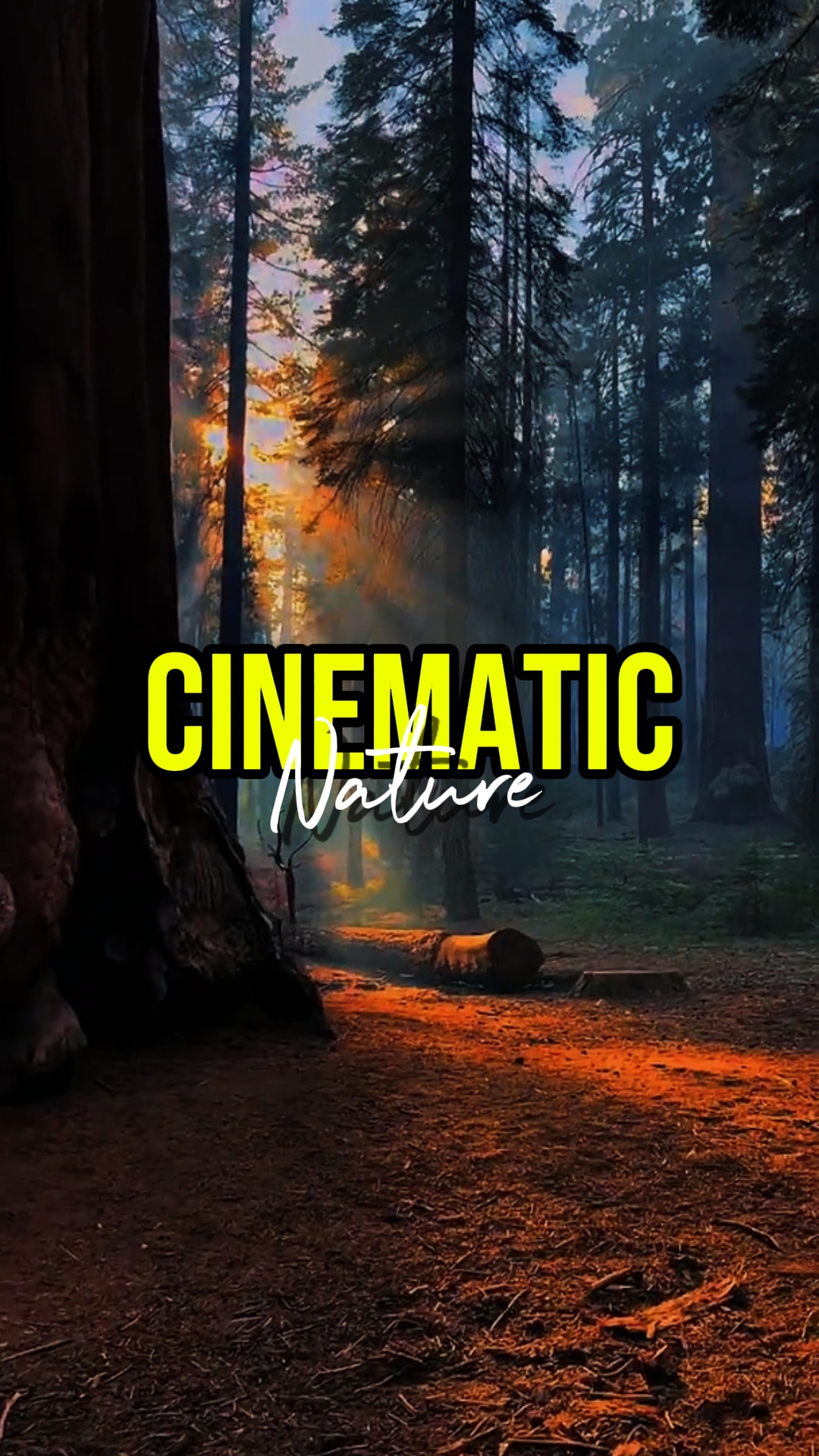 CINEMATIC NATURE