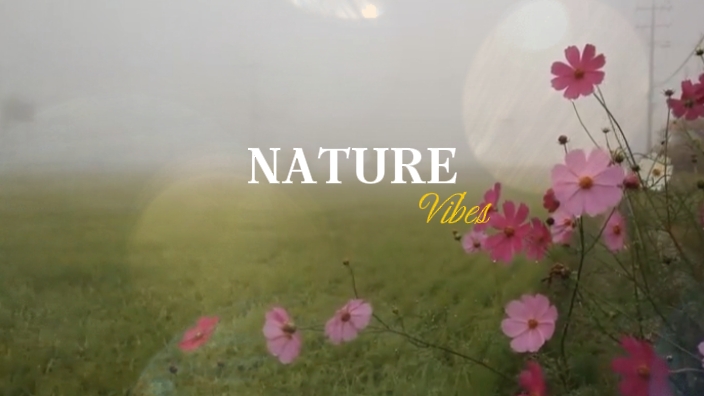 Nature Vibes