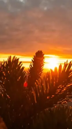 sunrise vibes