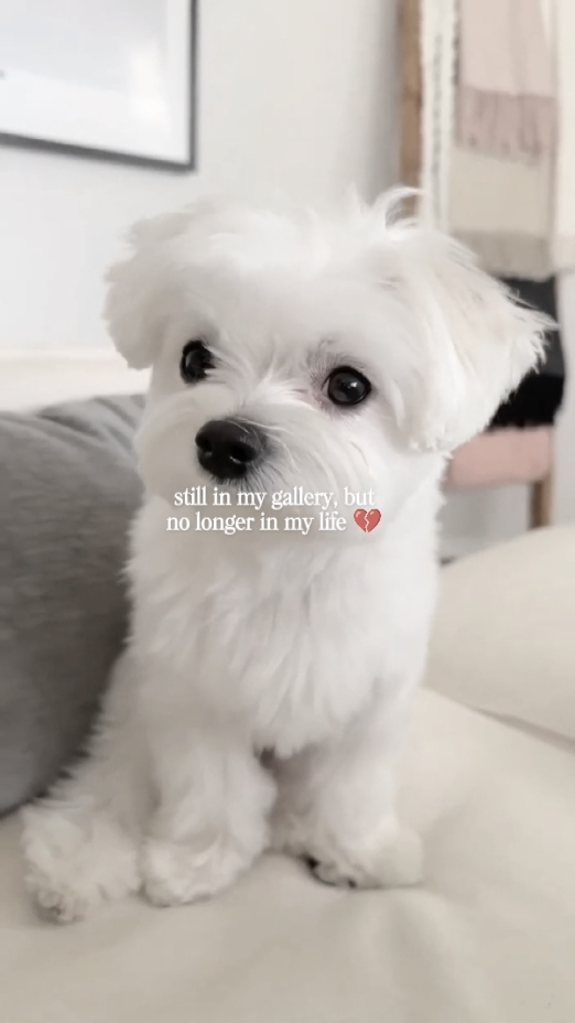 mon bébé 