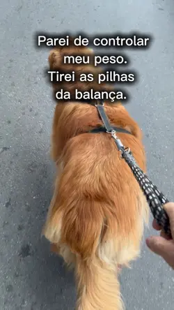 Controle do peso