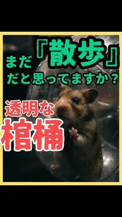 ハムスターボールの恐怖
