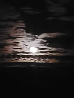 do whatever you want