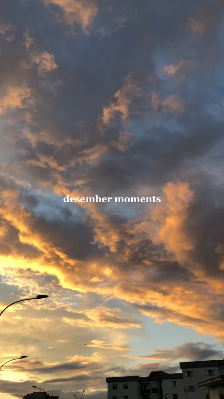 Volcado de diciembre 